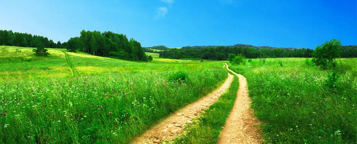 Open green land with a dirt track heading into the distance